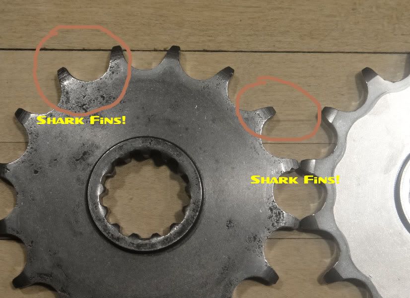 Is This Sprocket Worn? (pics) Triumph Forum Triumph Rat Motorcycle
